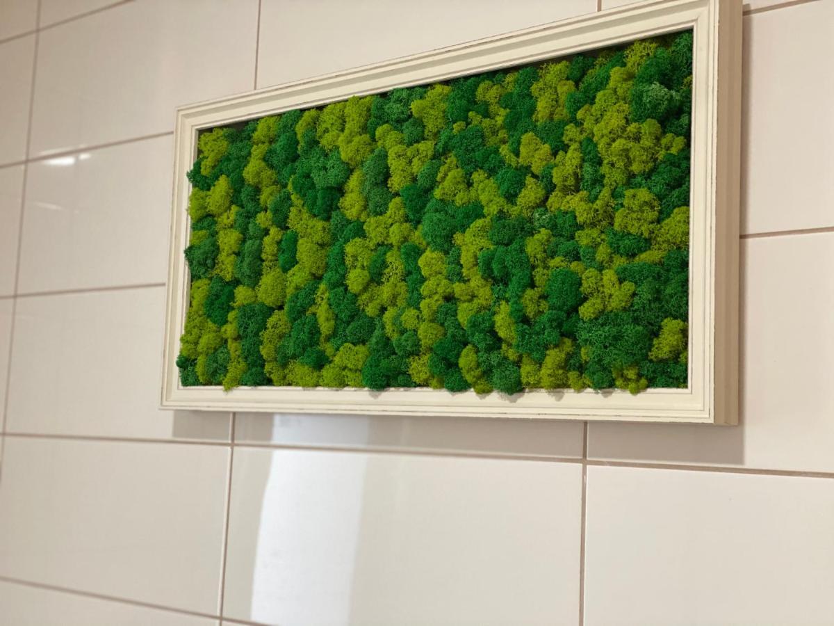 Green Deluxe Apartment Cosmopolis Stefanestii de Jos Екстериор снимка